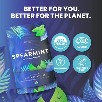Cederberg Tea Company Organic Spearmint Herbal Tea, Caffeine Free, 100 Tea Bags/Pack (CT-SPEA)