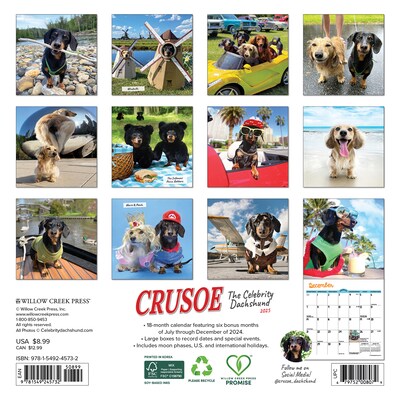 2025 Willow Creek Crusoe the Celebrity Dachshund 7 x 7 Monthly Wall Calendar (45732)