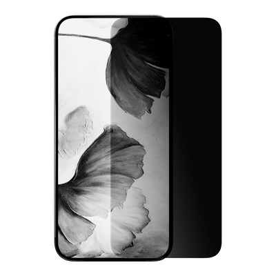 cellhelmet Tempered Glass Privacy Filter & Screen Protector for iPhone 17 (CHELSP106C000)