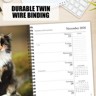 2026 Willow Creek What Cats Teach Us 6.5" x 8.5" Daily & Monthly Personal Organizer (54666)
