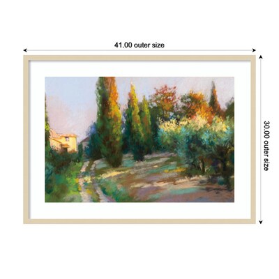 Amanti Art Villa Landscape by Christine Debrosky Wood Framed Wall Art Print, 41" x 30" (A42675643496)