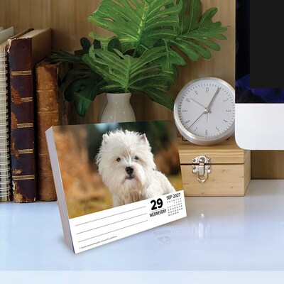2027 Willow Creek Westies 5.4" x 6.2" Day-to-Day Calendar (63811)