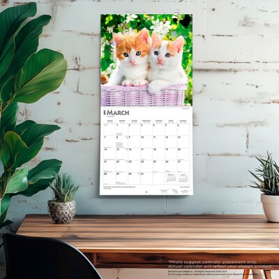 2027 BrownTrout I Love Kittens 12" x 12" Monthly Wall Calendar (9798330711802)