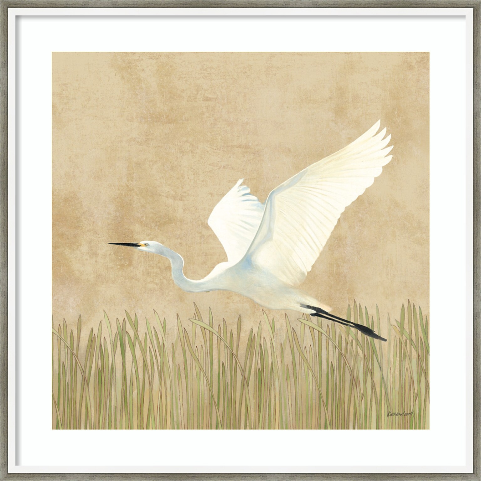 Amanti Art Egret Alighting II by Kathrine Lovell Wood Framed Wall Art Print, 25 x 25 (A42677221098)