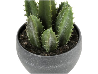 Monarch Specialties Inc. Succulents in Pots, 3/Pack (I 9587)