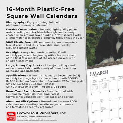2025 BrownTrout Tuxedo Cats 12" x 12" Monthly Square Wall Calendar (9781975477905)