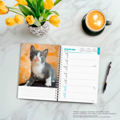 2026 BrownTrout Kittens 6.5" x 7.75" Weekly Planner (9798330704125)