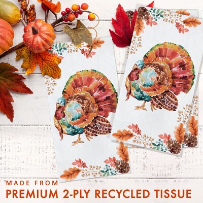 Say Hooray! Tasteful Turkey Paper Plates and Guest Towels Kit, Multicolored, 48/Pack (DTC9386E2H)