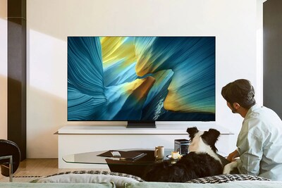 Samsung S95F Series 65" OLED 4K AI Enabled TV (QN65S95FAFXZA)