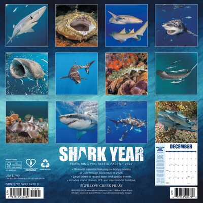 2027 Willow Creek Shark Year 12 x 12 Monthly Wall Calendar, Reversible, Assorted Colors (62289)