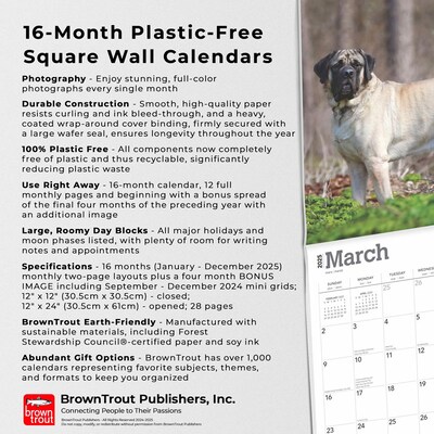 2025 BrownTrout Mastiffs 12" x 12" Monthly Square Wall Calendar (9781975477417)