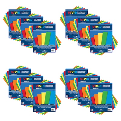 Roaring Spring Paper Products Enviroshades 8.27 x 11.69 Multipurpose Paper, 24 lbs. Assorted Colors, 80 Sheets/Ream (20538CS)