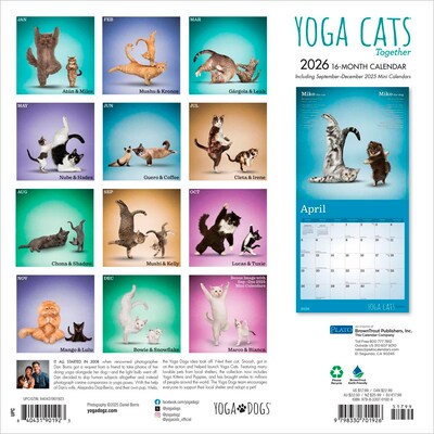 2026 Plato Yoga Cats Together 12 x 12 Monthly Wall Calendar (9798330701926)