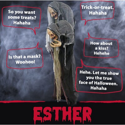 Haunted Hill Farm Life-Size Poseable Witch (HHWITCH-13FLSA)