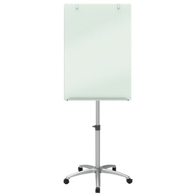 Quartet Infinity Magnetic Glass Dry-Erase Mobile Presentation Whiteboard Easel, Silver Base, 3 x 2 (ECM32G)