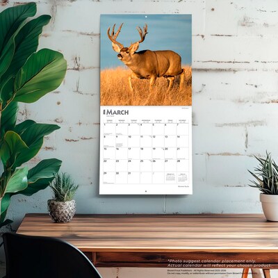 2026 BrownTrout Monster Bucks 12" x 12" Monthly Wall Calendar (9798330704682)