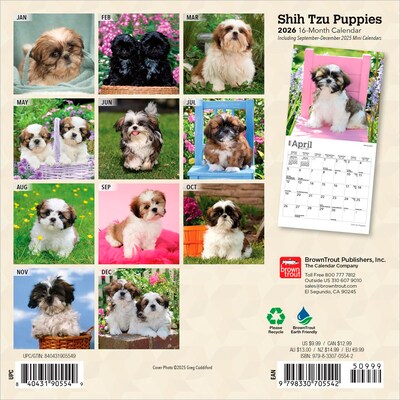 2026 BrownTrout Shih Tzu Puppies 7 x 7 Monthly Wall Calendar (9798330705542)