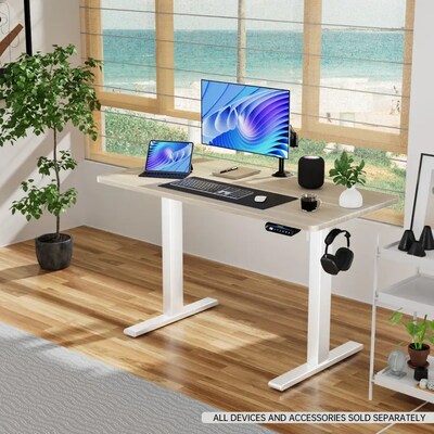 Huanuo 48"W Electric Rectangular Adjustable Standing Desk, Natural (HNESD68N)