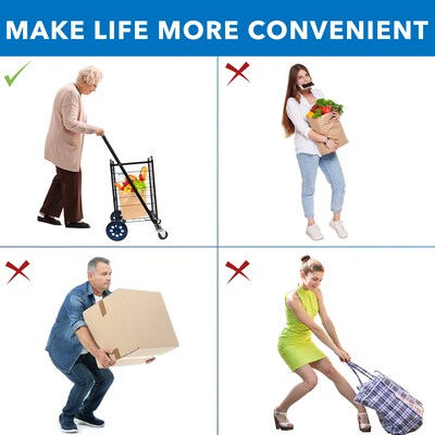 Mount-It! Small Rolling Utility Shopping Cart, Holds Up to 66 lbs., Black (MI-907S)