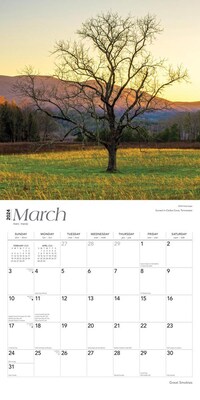 2024 BrownTrout Great Smokies 12" x 24" Monthly Wall Calendar (9781975463014)