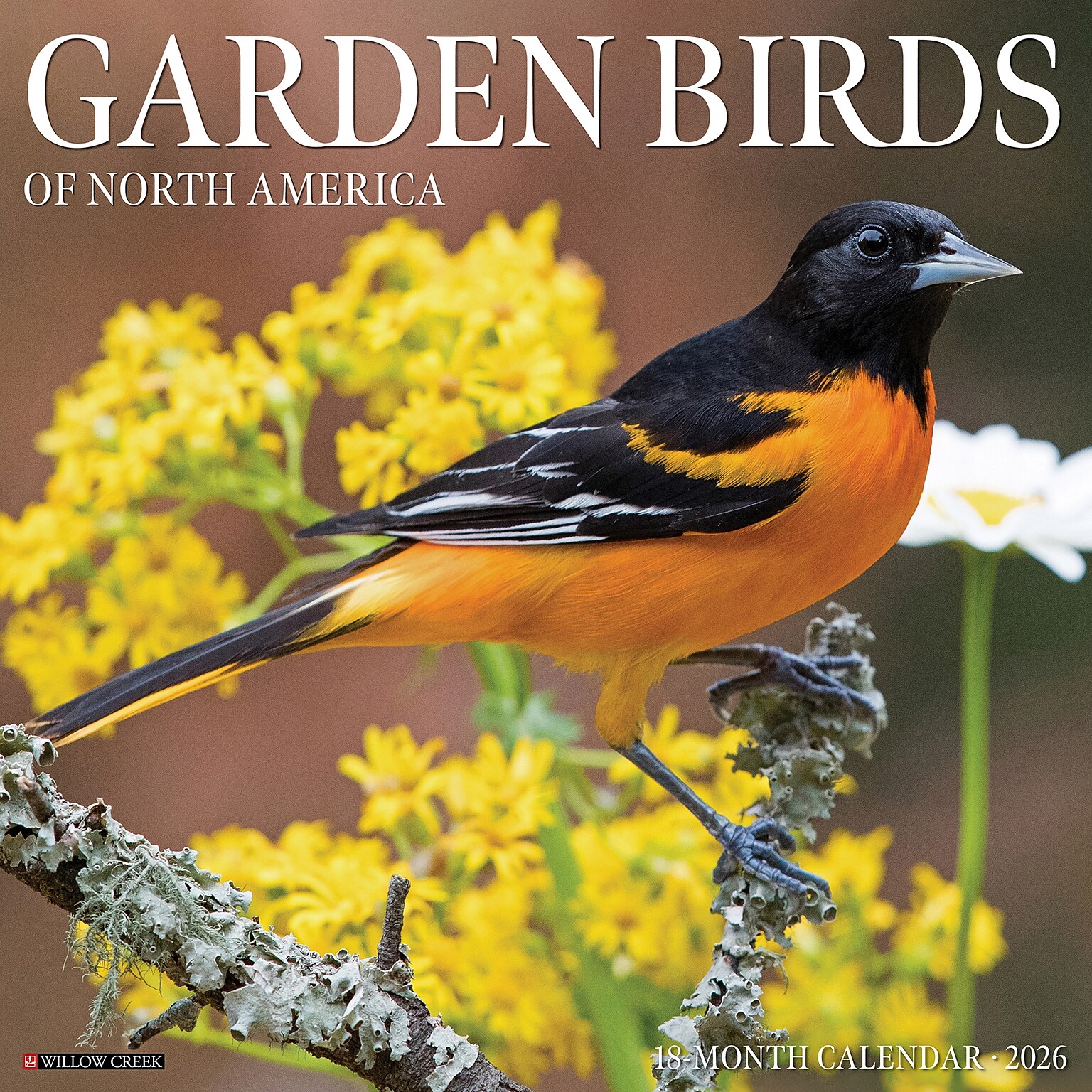 2026 Willow Creek Garden Birds 12 x 12 Monthly Wall Calendar (51184)