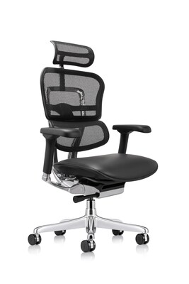Eurotech Ergohuman Gen2 High Back Mesh Office Chair w/ Headrest, Black (LEM4ERG-GEN2)