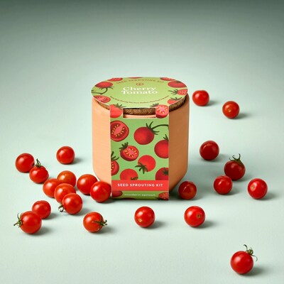 Modern Sprout Tiny Terracotta Garden Kits - Cherry Tomato