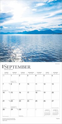 2025 BrownTrout Psalms 12" x 12" Monthly Wall Calendar (9781975477554)