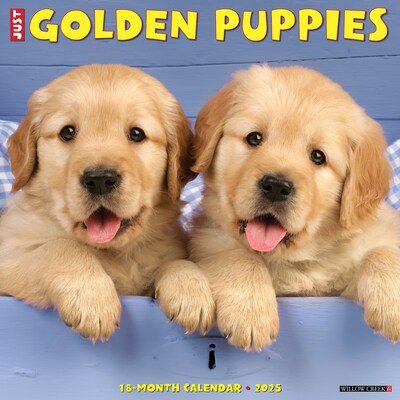 2025 Willow Creek Just Golden Puppies 12 x 12 Monthly Wall Calendar (43097)