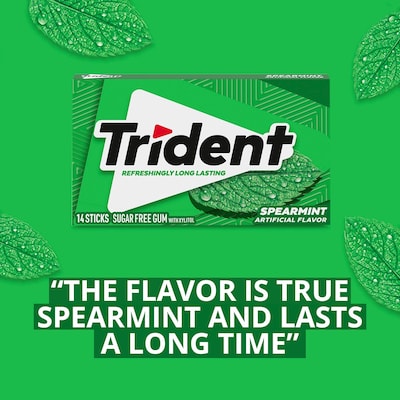 Trident Sugar Free Spearmint Gum, 14 Pieces/Pack, 12 Packs/Box (VAM05017)