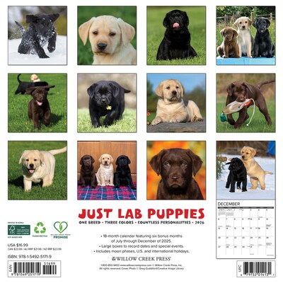 2026 Willow Creek Lab Puppies 12 x 12 Monthly Wall Calendar (51719)