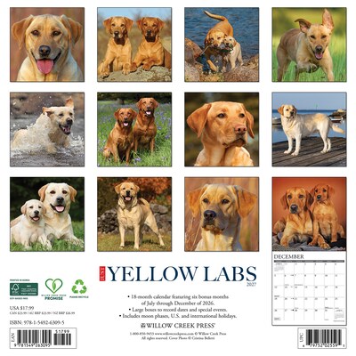 2027 Willow Creek Yellow Labs 12 x 12 Monthly Wall Calendar, Assorted Colors (63095)