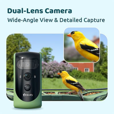 Birdfy Feeder 2 Pro with Dual-Lens Camera, Solar Panel and Free AI Lifetime Subscription, Green (EPPAMBNI8612100)