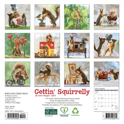 2027 Willow Creek Gettin Squirrelly 7 x 7 Monthly Wall Calendar, Assorted Colors (64030)