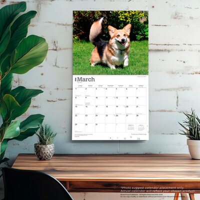 2026 BrownTrout For the Love of Welsh Corgis 14" x 12" Monthly Wall Calendar (9798330707195)