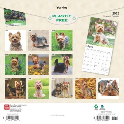 2025 BrownTrout Yorkshire Terriers 12 x 12 Monthly Wall Calendar (9781975478001)