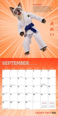 2026 BrownTrout Karate Cats 12" x 12" Monthly Wall Calendar (9798330701889)