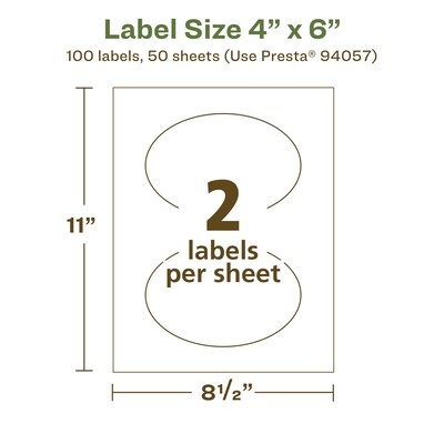 Avery EcoFriendly Laser/Inkjet Oval Multipurpose Labels, 4" x 6", White, 100/Box (94057)