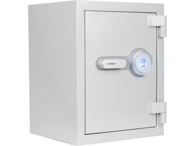 Barska Steel Fireproof Safe with Biometric Lock, 1.64 cu. ft., Gray (AX13494)