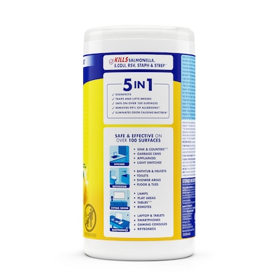 Lysol Disinfecting Wipes, Lemon & Lime Blossom, 80 Wipes/Canister, 6 Canisters/Carton (1920077182CT)