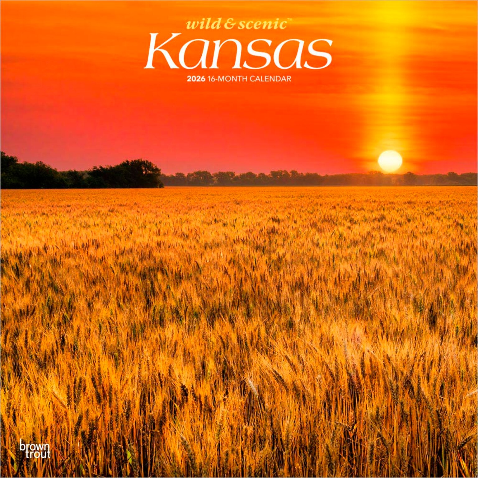 2026 BrownTrout Kansas Wild & Scenic 12 x 12 Monthly Wall Calendar (9798330704026)
