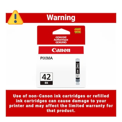 Canon 42 Black Standard Yield Ink Cartridge  (6384B002)