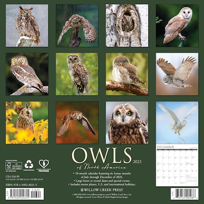 2025 Willow Creek Owls 12 x 12 Monthly Wall Calendar (44315)