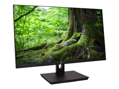 V7 23.8" LED Monitor, Black  (L238IPS-N)