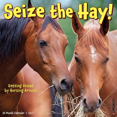 2027 Willow Creek Seize the Hay! 12 x 12 Monthly Wall Calendar, Assorted Colors (62272)