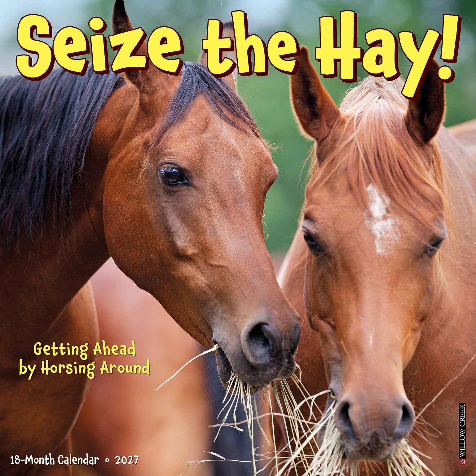 2027 Willow Creek Seize the Hay! 12 x 12 Monthly Wall Calendar, Assorted Colors (62272)