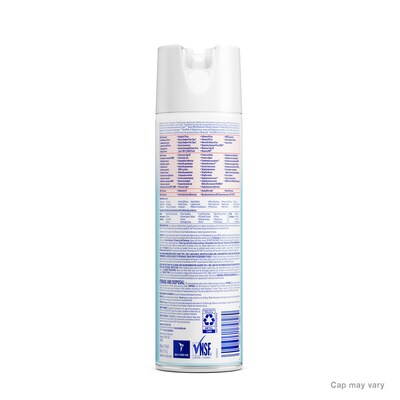 Lysol Professional Cleaner Cleaner Disinfectants, Clean, 19 Oz., 12/Carton (36241-74828)