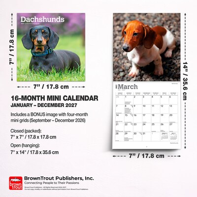 2027 BrownTrout Dachshunds 7" x 7" Monthly Wall Calendar, Assorted Colors (9798330709984)