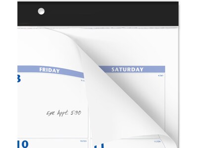 2025 AT-A-GLANCE 21.75" x 17" Monthly Desk Pad Calendar, White/Blue (SW200-00-25)