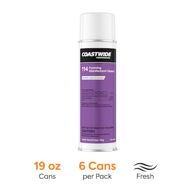 Coastwide Professional 114 Foaming Disinfectant Cleaner, 19 Oz., 6 Cans/Carton (CW114AR19-A)